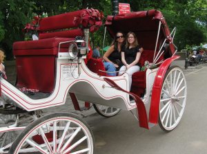 Central Park 2009