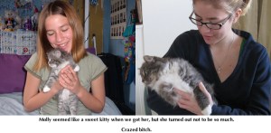The Predator (the cat, not my daughter Sydney)