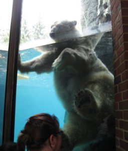 Gus exposing himself at the Central Park Zoo