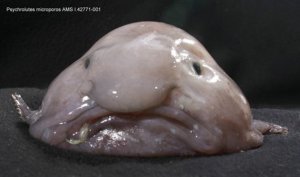 And what the Hell is that coming out of its mouth???