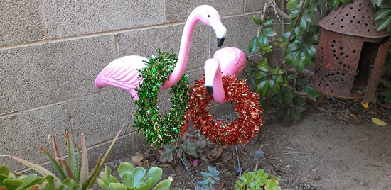 Stupid Pink Flamingos