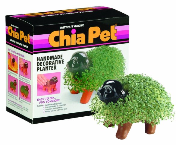chia-pet