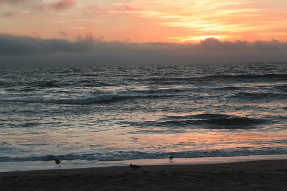 Feb-Sunset