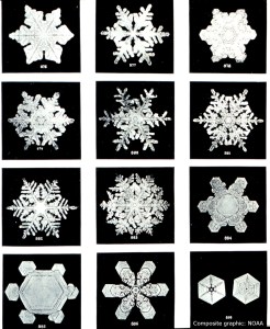 snowflake_c_NOAA