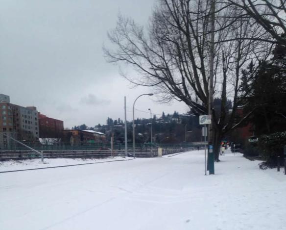Portland