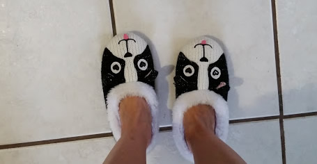 The slippers
