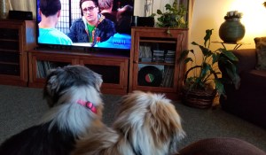 watching tv