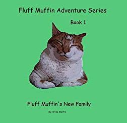 book cover artwork