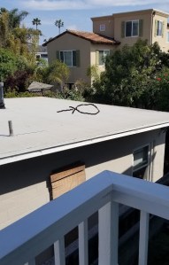 roof top