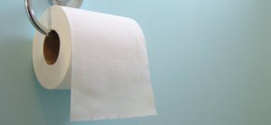 photo of toilet paper roll