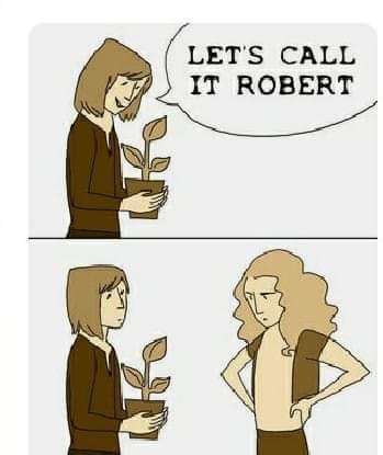 Robert