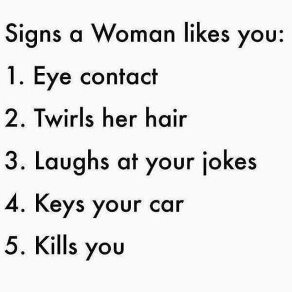 Meme of Signs a woman like you